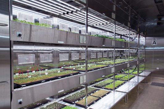 タキイ種苗で種子発芽・苗の画像解析に関する学術指導を実施